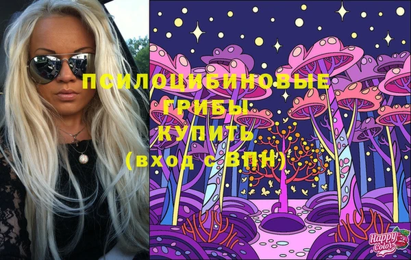 не бодяженный Алзамай