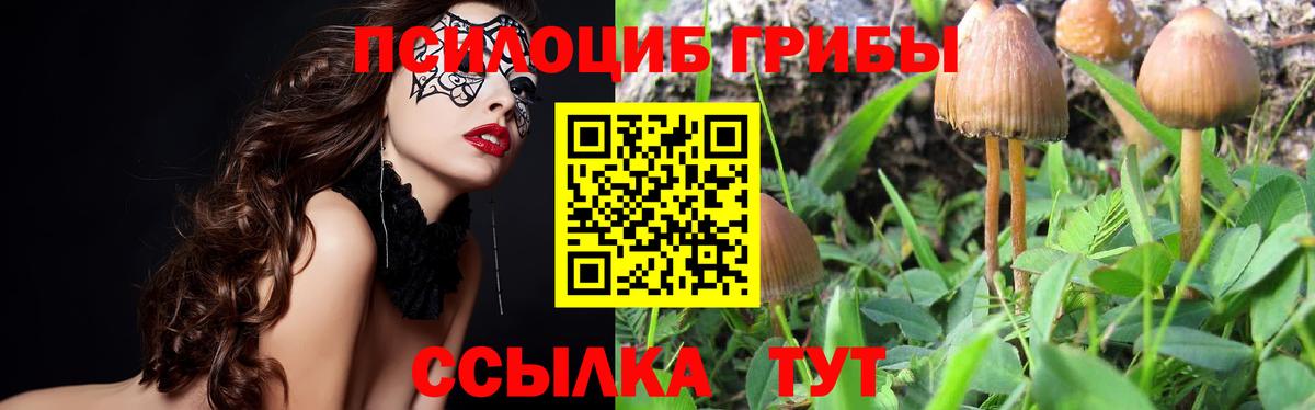 Ачинск  Псилоцибиновые грибы прущие грибы  Вход с VPN 